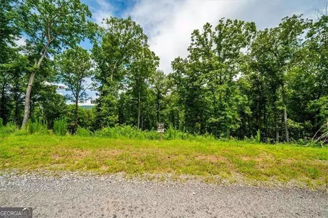 0 Ridge Dr, Morganton, GA 30560 photo 5