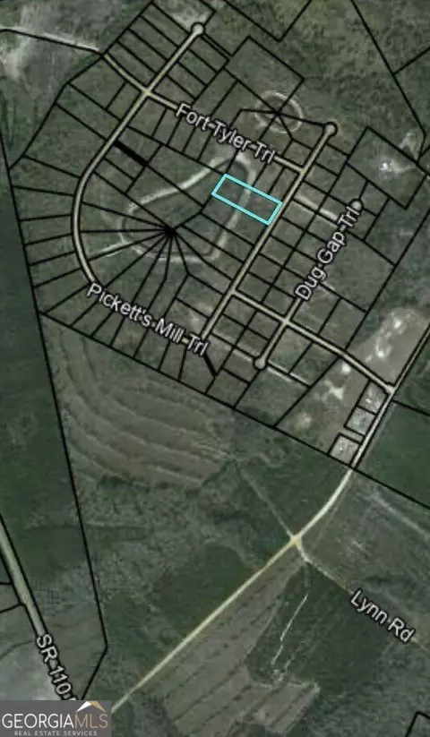 lot80 Picketts Trl, Waynesville, GA 31566