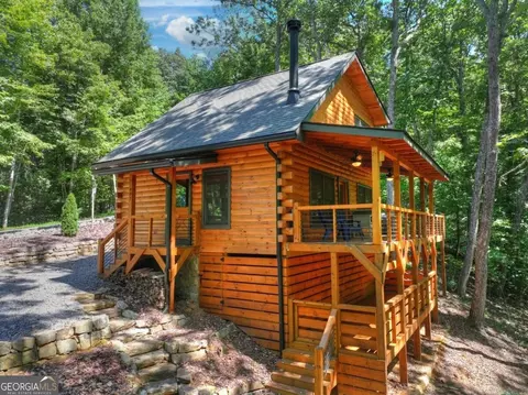 Exterior - 407 Arrowhead Pass, Cherry Log, GA 30522 photo 17 of 18