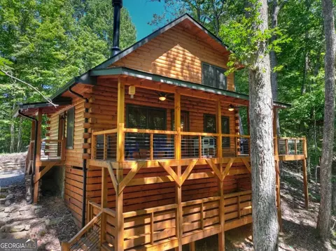 Exterior - 407 Arrowhead Pass, Cherry Log, GA 30522 photo 2 of 18