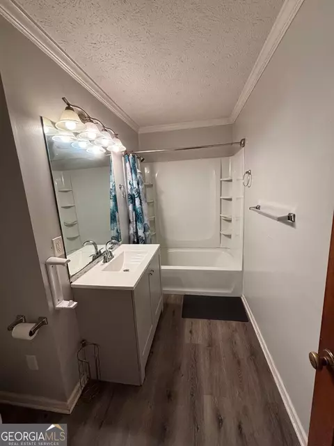 Bath - 10992 Twelve Oaks Ct, Hampton, GA 30228 photo 3 of 3
