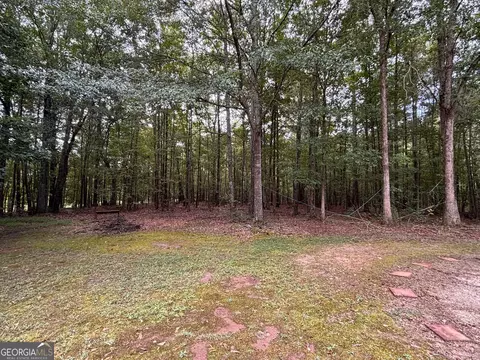 Exterior - 10992 Twelve Oaks Ct, Hampton, GA 30228 photo 4 of 4