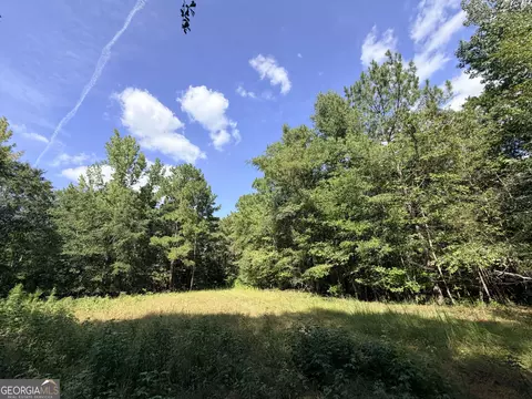 2 Cunningham Rd, Greensboro, GA 30642