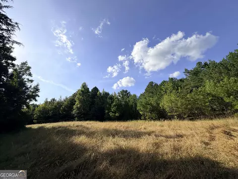 3 Cunningham Rd, Greensboro, GA 30642