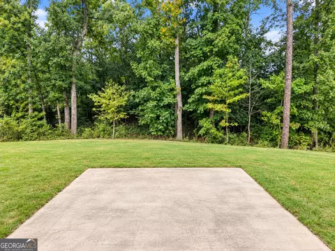 739 Gelderland Dr, Hampton, GA 30228 photo 9