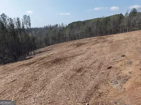 0 Young Loop #7206-C, Fairmount, GA 30139 photo 2