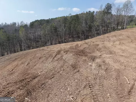 0 Young Loop #7206-C, Fairmount, GA 30139 photo 3