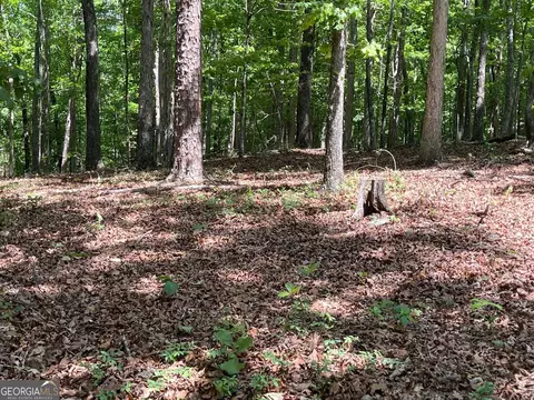 Tract 2 Chalcrest Way, Cave Spring, GA 30124 photo 8