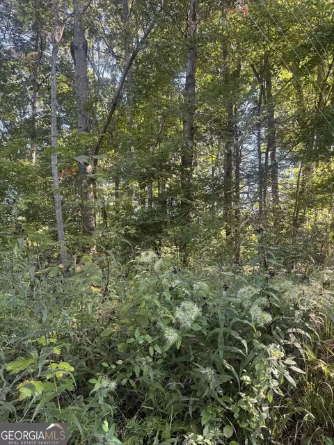 lot3 Roberts Ridge Rd, Ellijay, GA 30540