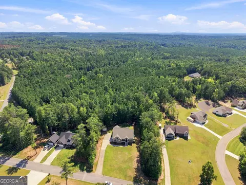 View/Area - 30 Willow Leaf Dr, Buchanan, GA 30113 photo 1 of 2