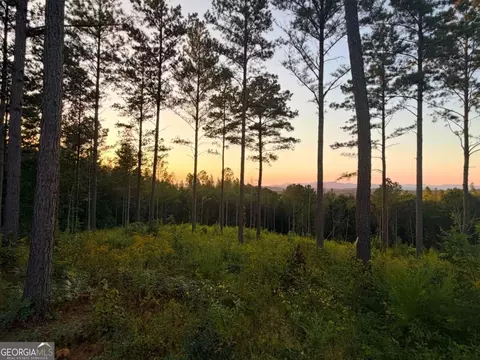 0 Lacey Springs Ln #64, Ellijay, GA 30540