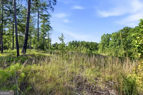 680 Giles Rd, Forsyth, GA 31029 photo 2