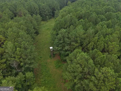 301 Dub Walker Rd, Jackson, GA 30233 photo 4