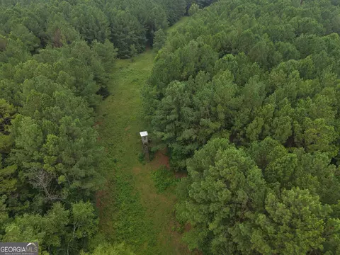 301 Dub Walker Rd, Jackson, GA 30233 photo 13