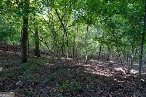 12 Bunch Rd, Tignall, GA 30668 photo 52