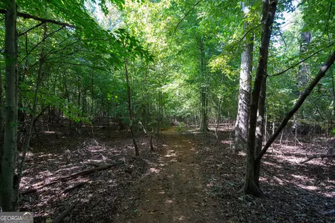 12 Bunch Rd, Tignall, GA 30668 photo 27