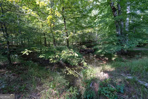 12 Bunch Rd, Tignall, GA 30668 photo 45