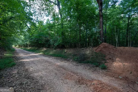 12 Bunch Rd, Tignall, GA 30668 photo 11