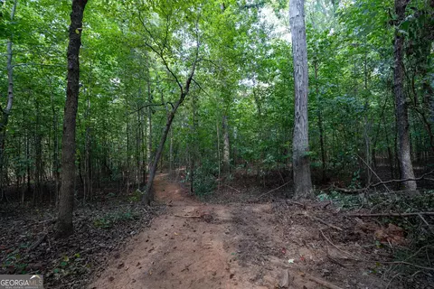 12 Bunch Rd, Tignall, GA 30668 photo 15