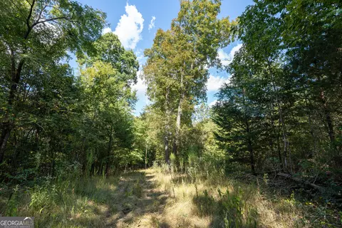 12 Bunch Rd, Tignall, GA 30668 photo 35