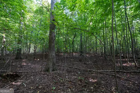 12 Bunch Rd, Tignall, GA 30668 photo 63