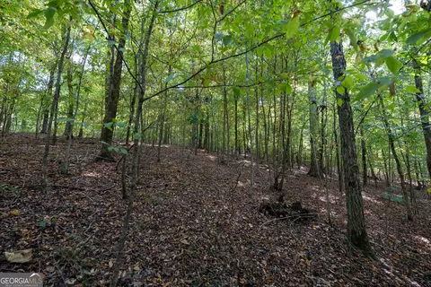 12 Bunch Rd, Tignall, GA 30668 photo 59