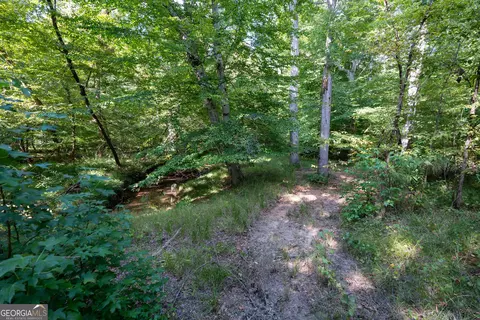 12 Bunch Rd, Tignall, GA 30668 photo 46