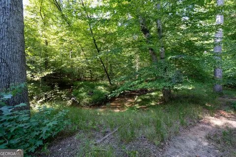 12 Bunch Rd, Tignall, GA 30668 photo 47