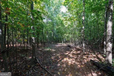 12 Bunch Rd, Tignall, GA 30668 photo 30