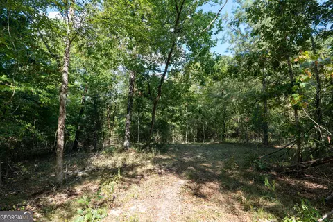 12 Bunch Rd, Tignall, GA 30668 photo 38