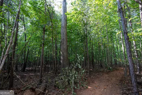 12 Bunch Rd, Tignall, GA 30668 photo 24