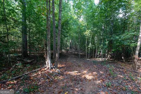 12 Bunch Rd, Tignall, GA 30668 photo 18