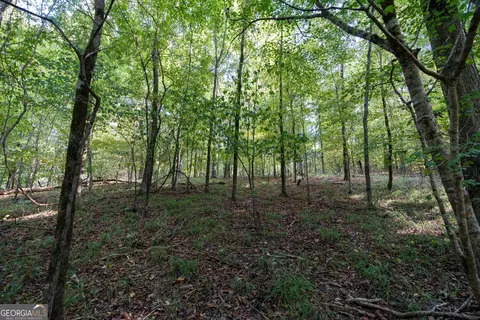 12 Bunch Rd, Tignall, GA 30668 photo 57