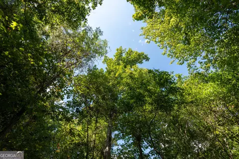 12 Bunch Rd, Tignall, GA 30668 photo 31