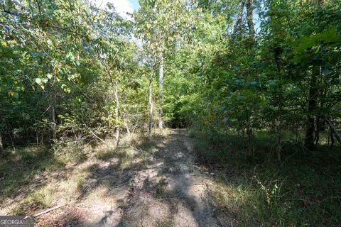 12 Bunch Rd, Tignall, GA 30668 photo 40