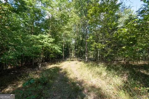 12 Bunch Rd, Tignall, GA 30668 photo 37