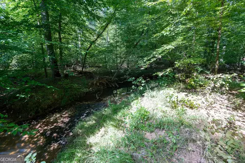 12 Bunch Rd, Tignall, GA 30668 photo 49