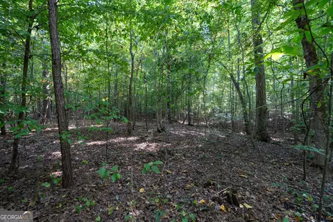 12 Bunch Rd, Tignall, GA 30668 photo 60