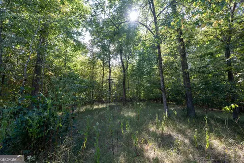 12 Bunch Rd, Tignall, GA 30668 photo 5