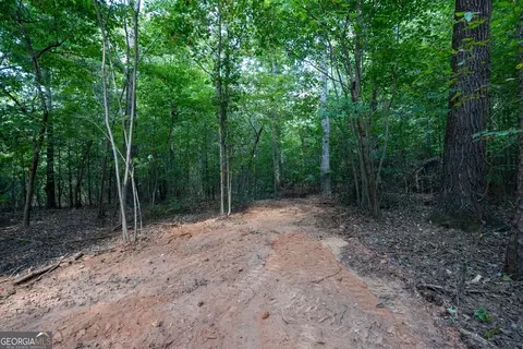 12 Bunch Rd, Tignall, GA 30668 photo 14