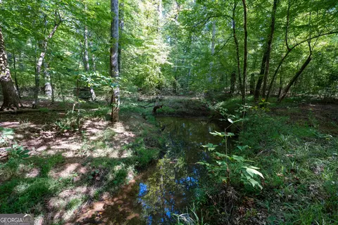 12 Bunch Rd, Tignall, GA 30668 photo 50