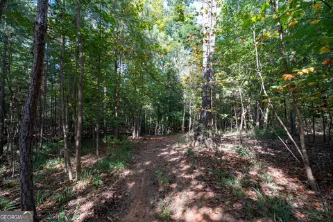 12 Bunch Rd, Tignall, GA 30668 photo 17