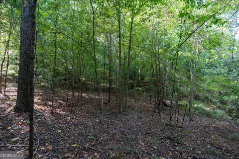 12 Bunch Rd, Tignall, GA 30668 photo 58