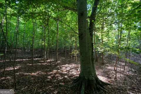 12 Bunch Rd, Tignall, GA 30668 photo 61
