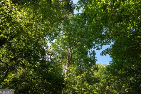 12 Bunch Rd, Tignall, GA 30668 photo 28