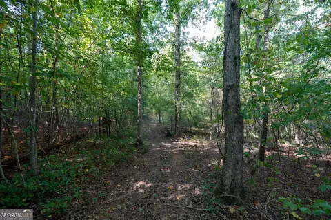 12 Bunch Rd, Tignall, GA 30668 photo 34