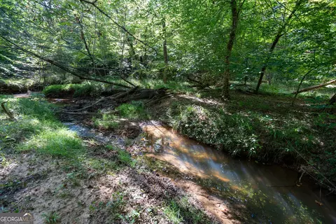 12 Bunch Rd, Tignall, GA 30668 photo 48