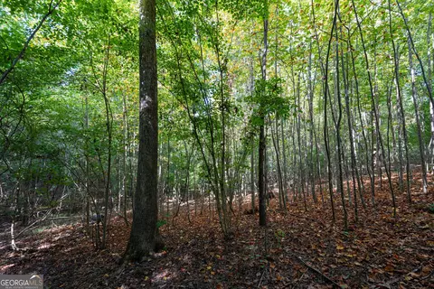 12 Bunch Rd, Tignall, GA 30668 photo 54