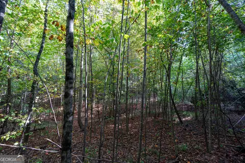 12 Bunch Rd, Tignall, GA 30668 photo 55