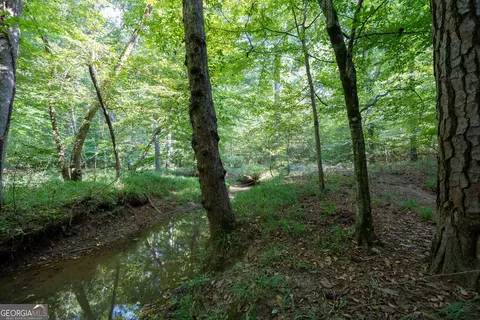 12 Bunch Rd, Tignall, GA 30668 photo 43
